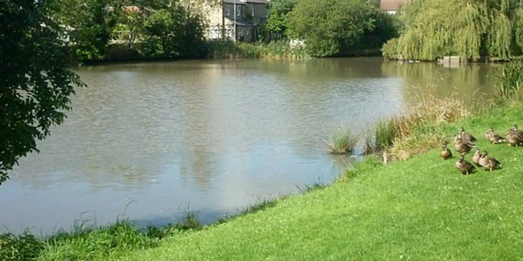 An image depicting the trail Grewelthorpe - Horsepasture Hill - Nutwith Common - River Nidd and Limehouse Hill and its surrounding area.