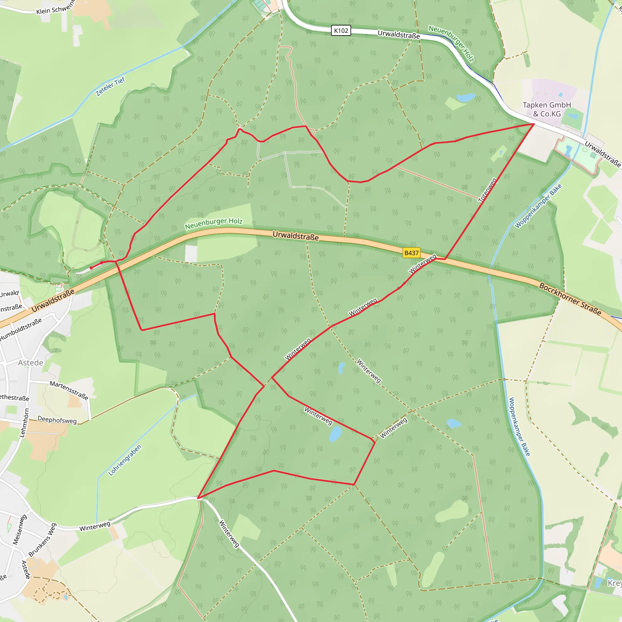 Winterweg and Totenweg Loop mobile static map
