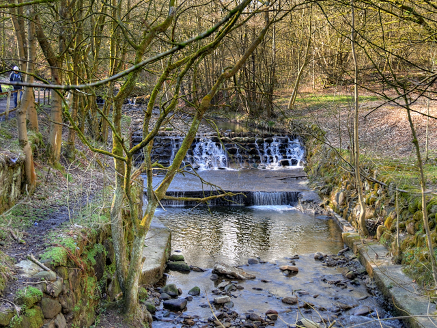 An image depicting the trail Victoria Lake and its surrounding area.