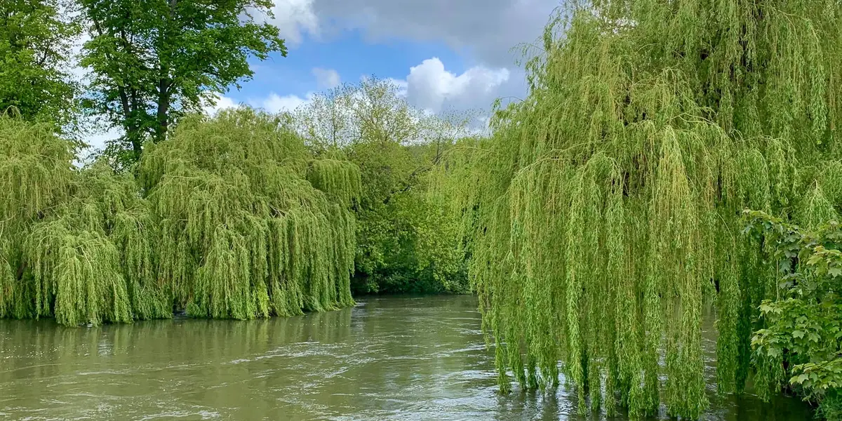 Sonning Eye and Shiplake