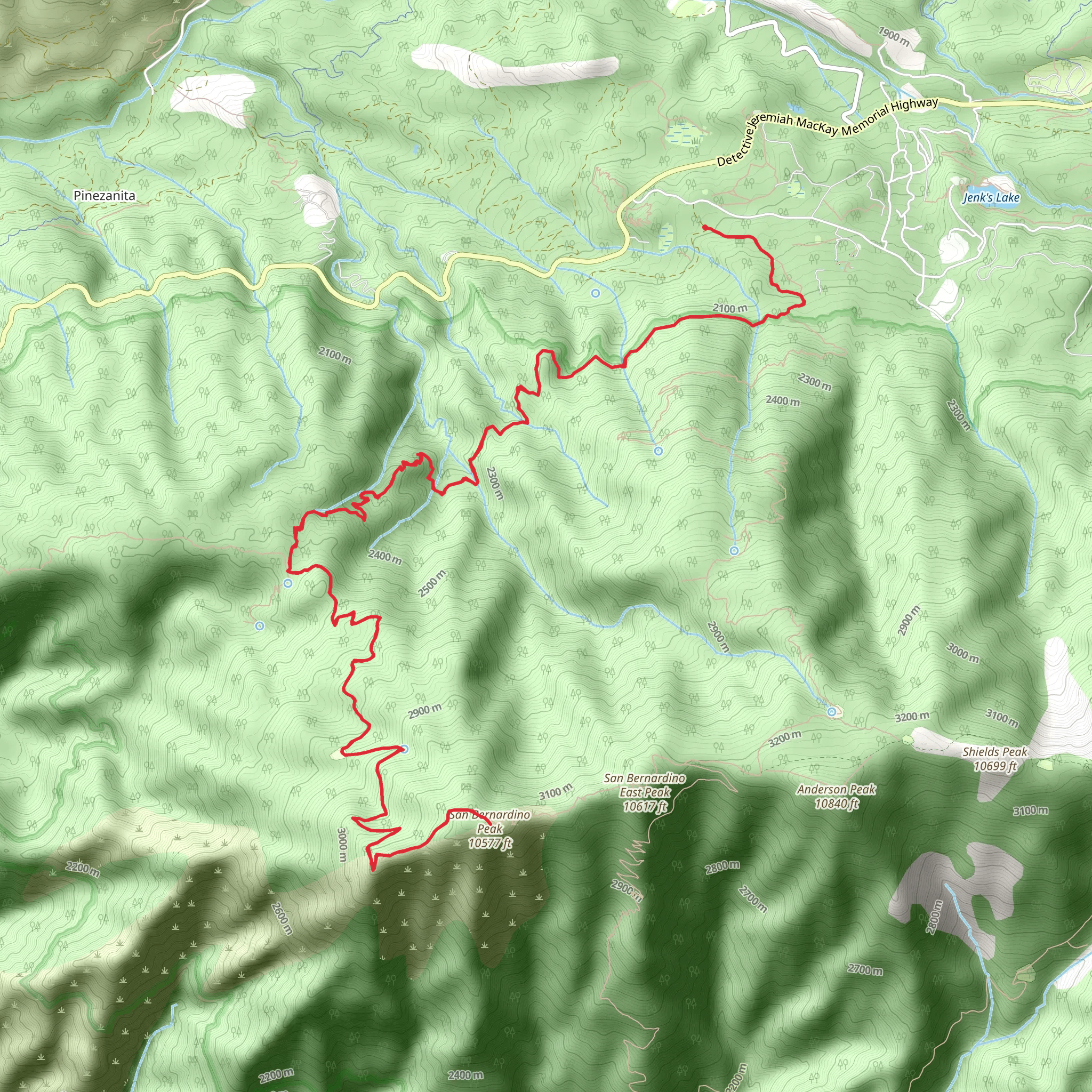San Bernardino Peak Trail Out and Back mobile static map