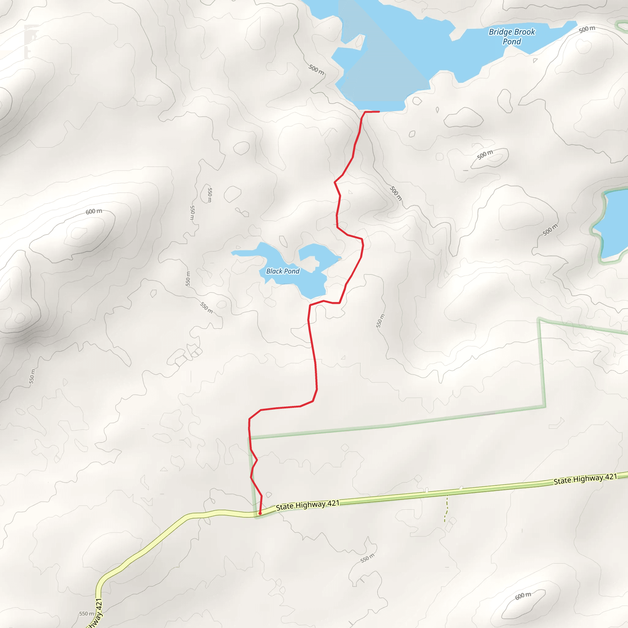 Bridge Brook Pond Out and Back mobile static map