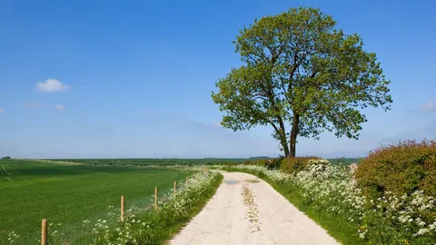An image depicting the trail Yorkshire Wolds Way and its surrounding area.