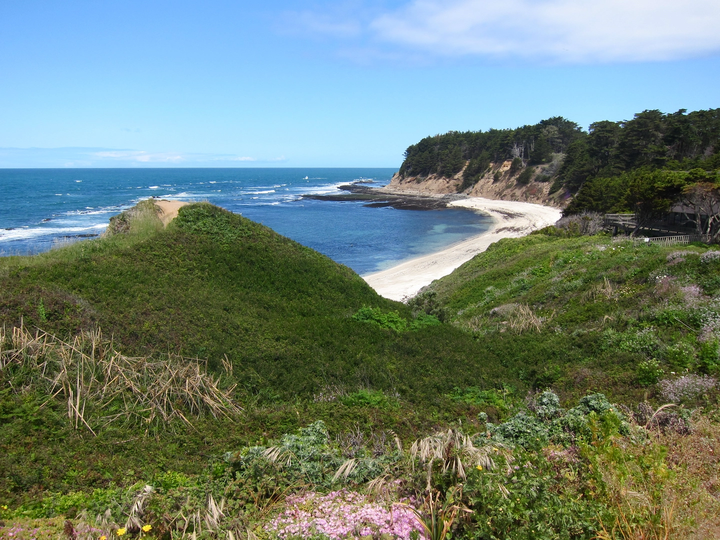 An image depicting the trail Spanish Bay Road Walk and its surrounding area.