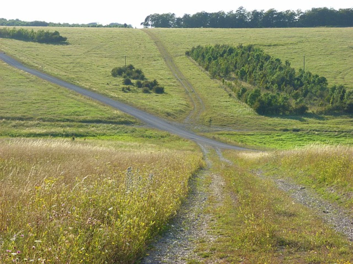 An image depicting the trail Salisbury Plain Loop and its surrounding area.