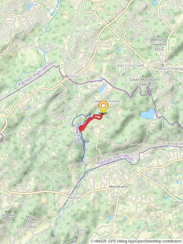 Yellow and Blue Loop Trail