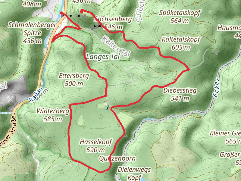Kurpark to Harzburg Castle Walk via Hasselkopf