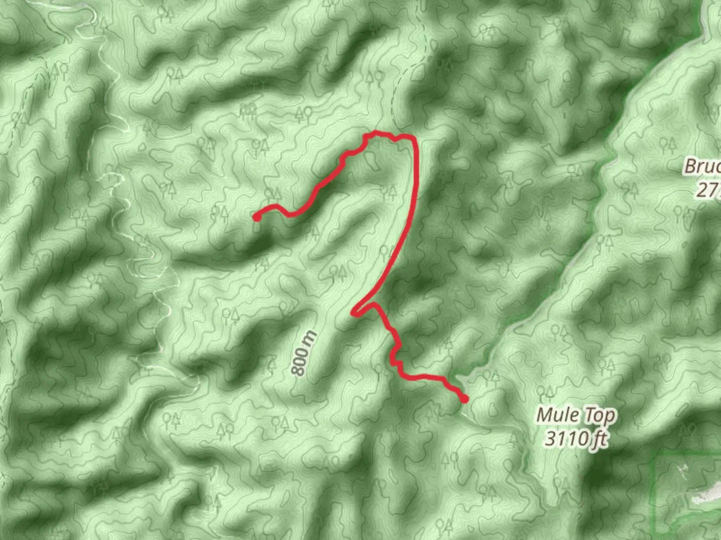 An image depicting the trail Penitentiary Branch Trail and its surrounding area.