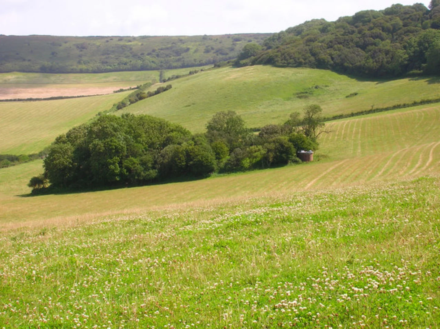 An image depicting the trail Littleton Down and Nansen Hill Loop and its surrounding area.