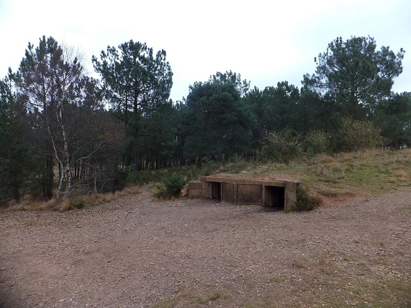 An image depicting the trail Hayes Wood, Wheathill Plantation and Bicton Common Loop and its surrounding area.