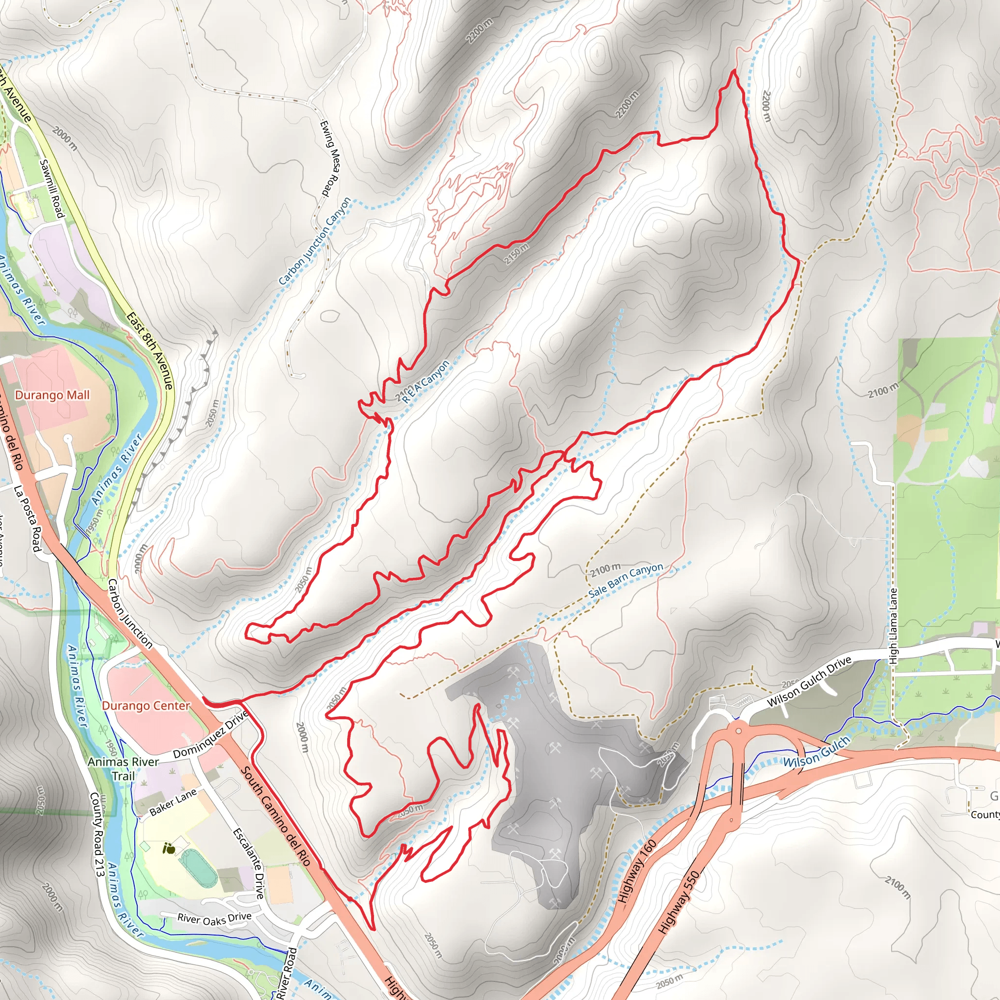 Big Canyon Trail and South Rim Trail Loop mobile static map