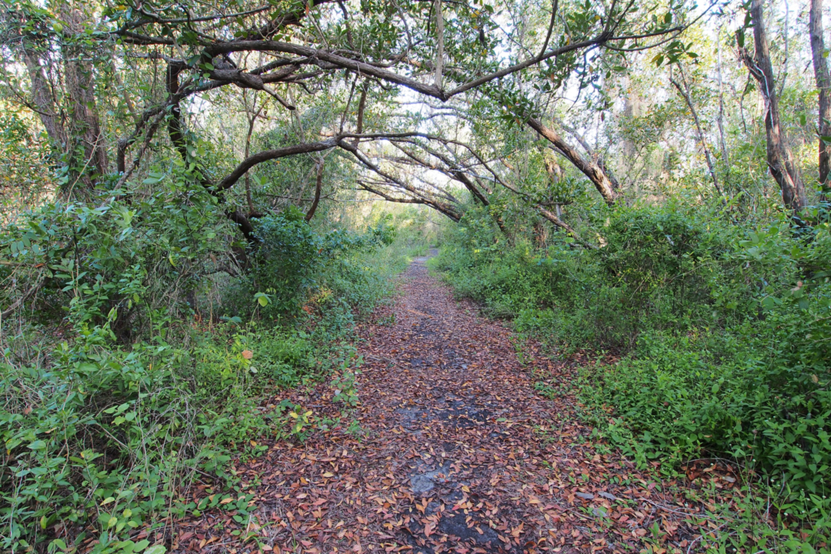 An image depicting the trail Coastal Prairie Trail and its surrounding area.