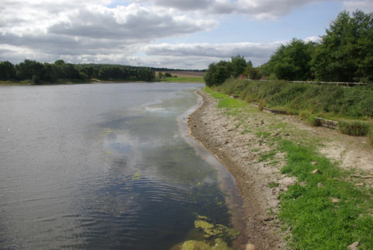 Ulley Reservoir and Country Park Walk