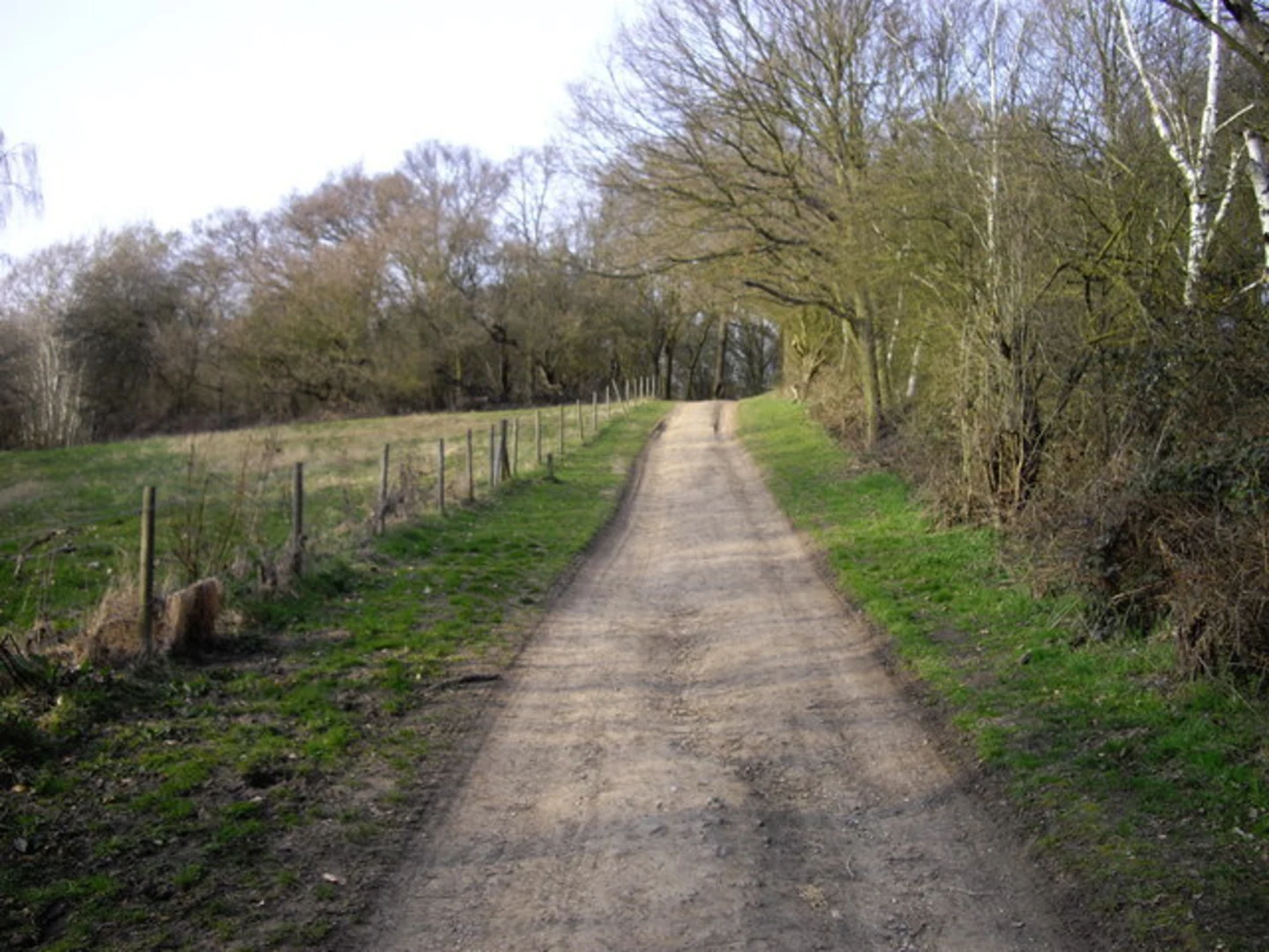 An image depicting the trail Hainault Forest Country Park and its surrounding area.