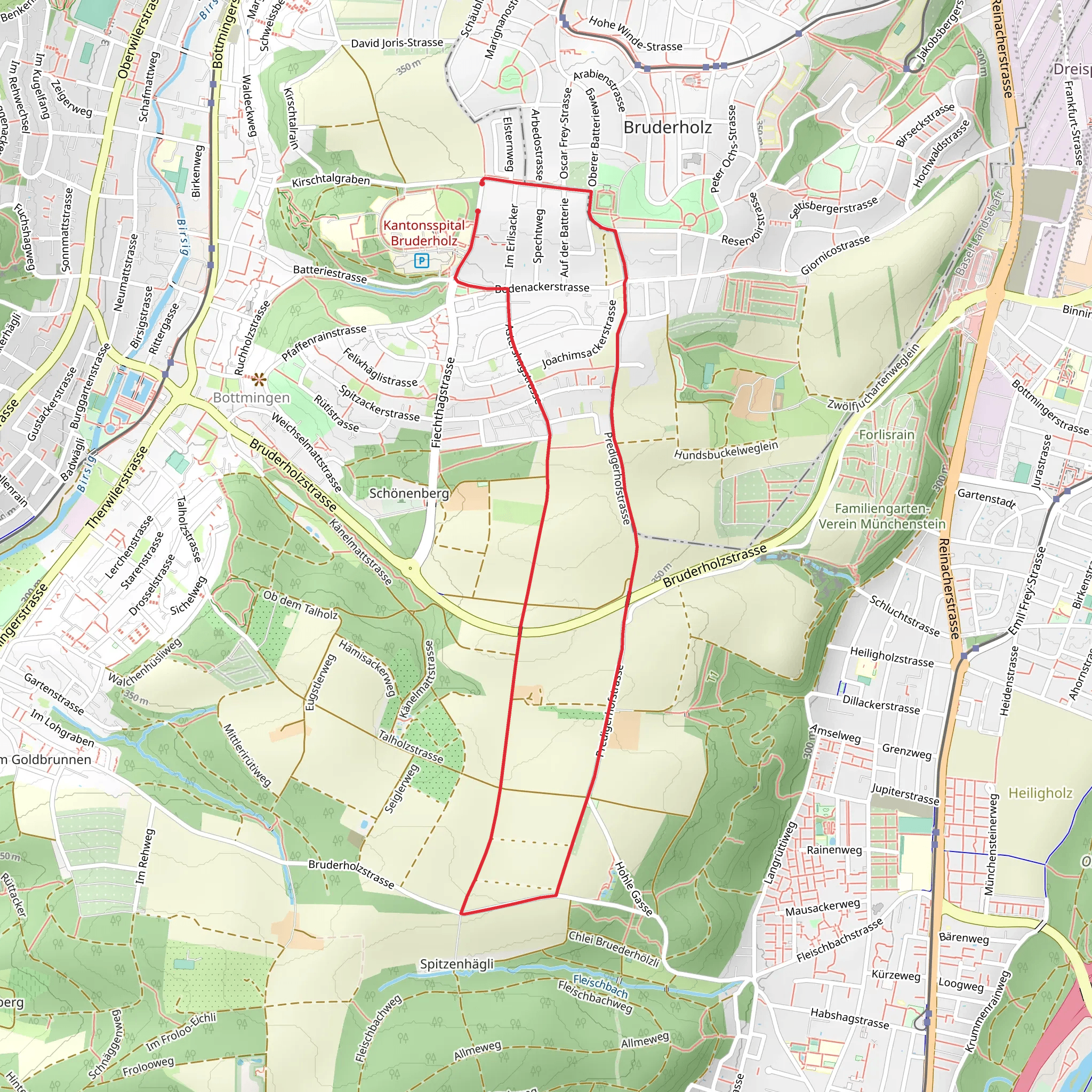 Bruderholzweg mobile static map