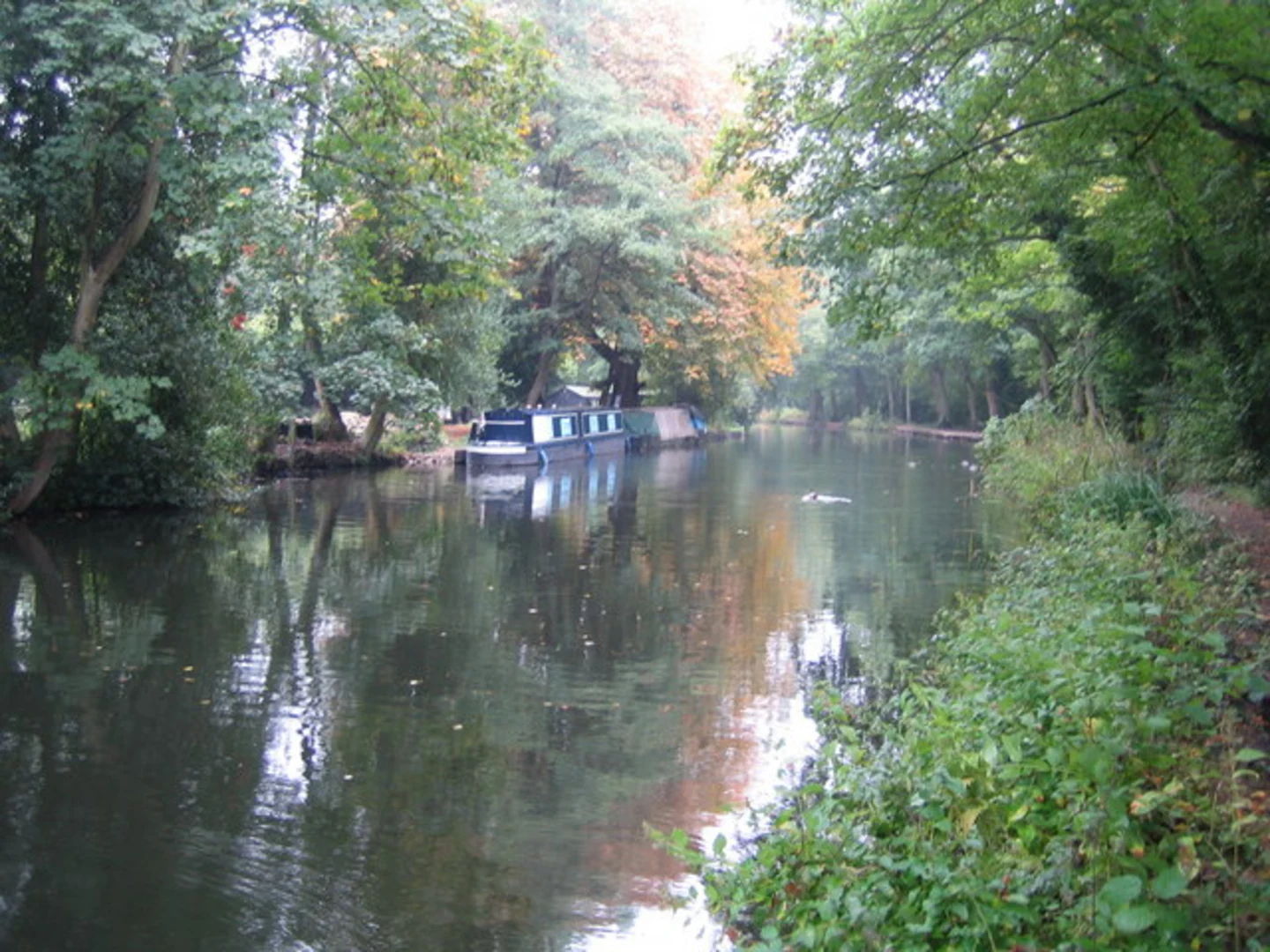 An image depicting the trail Mytchett Lake, Frimley Hatches Pit 4 and Basingstoke Canal Loop and its surrounding area.