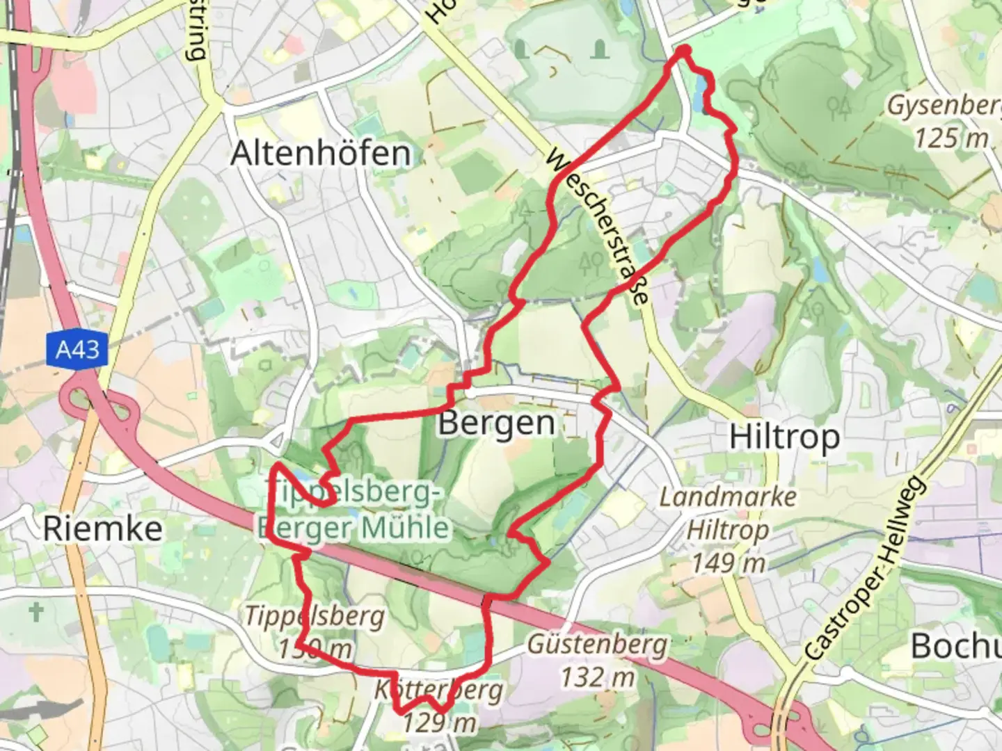 An image depicting the trail Unterer Stemberg-Teich and Tippelsberg Loop and its surrounding area.