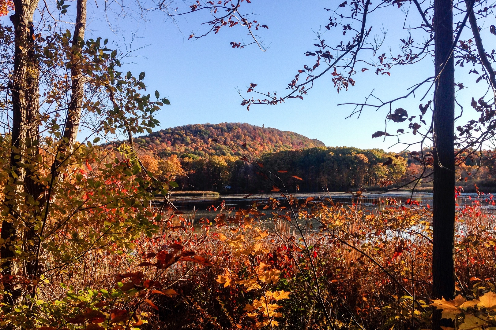 An image depicting the trail Mattabesett Trail and its surrounding area.