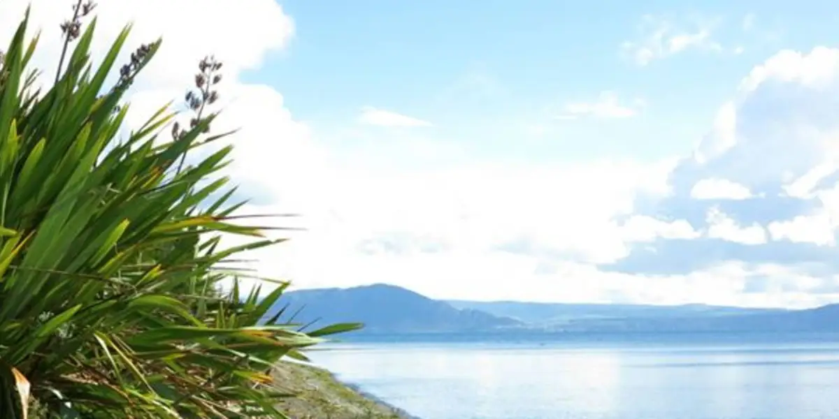Tauranga - Taupō River Walk