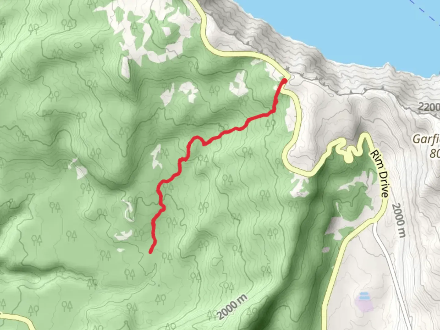 An image depicting the trail Dutton Creek via PCT and its surrounding area.