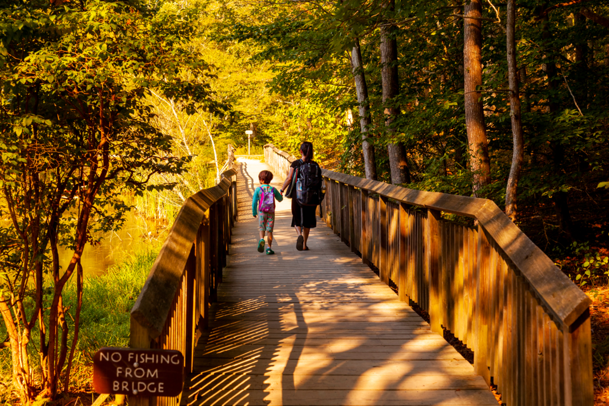 Calvert Cliffs and Beach Loop