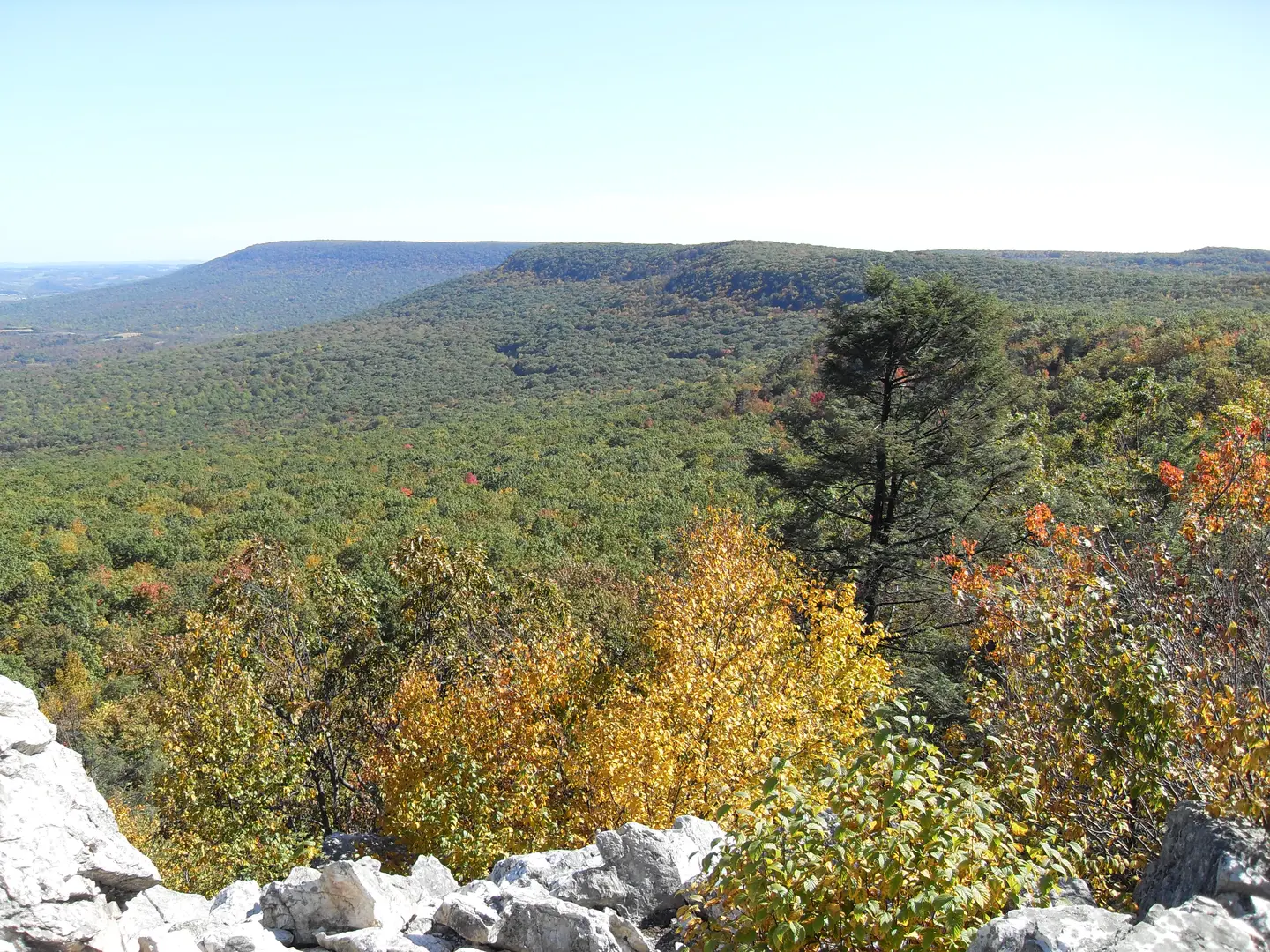 An image depicting the trail Pine Swamp Road to Fort Franklin Road Out and Back and its surrounding area.