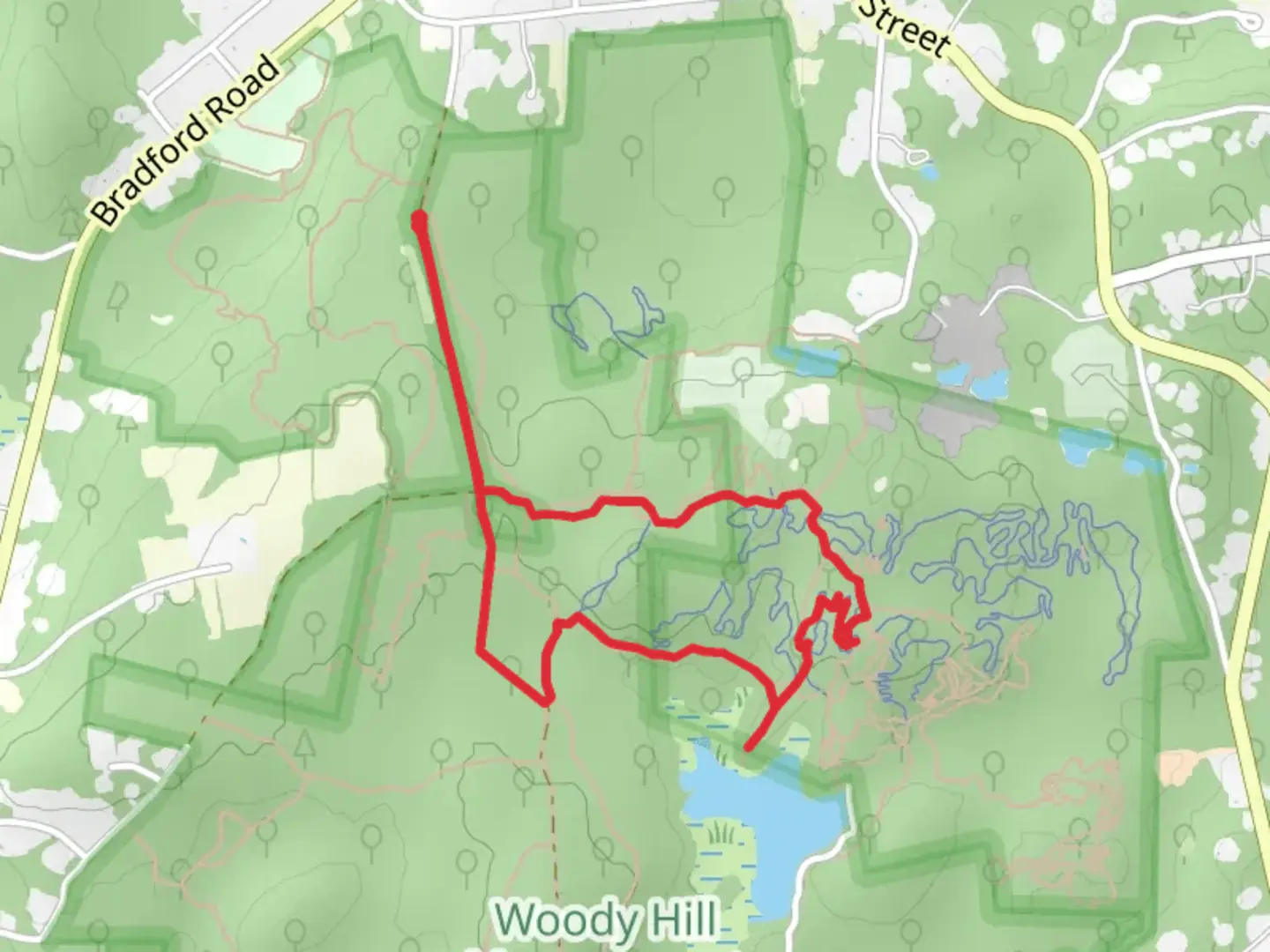 An image depicting the trail Woody Hill Road, Pour Judgement and North Main Street Loop and its surrounding area.