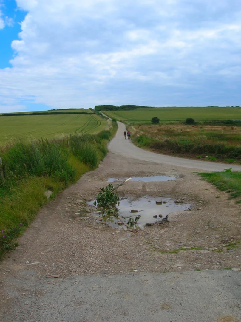 An image depicting the trail High and Over and Cuckmere River Loop from Seaford Head Golf Club and its surrounding area.