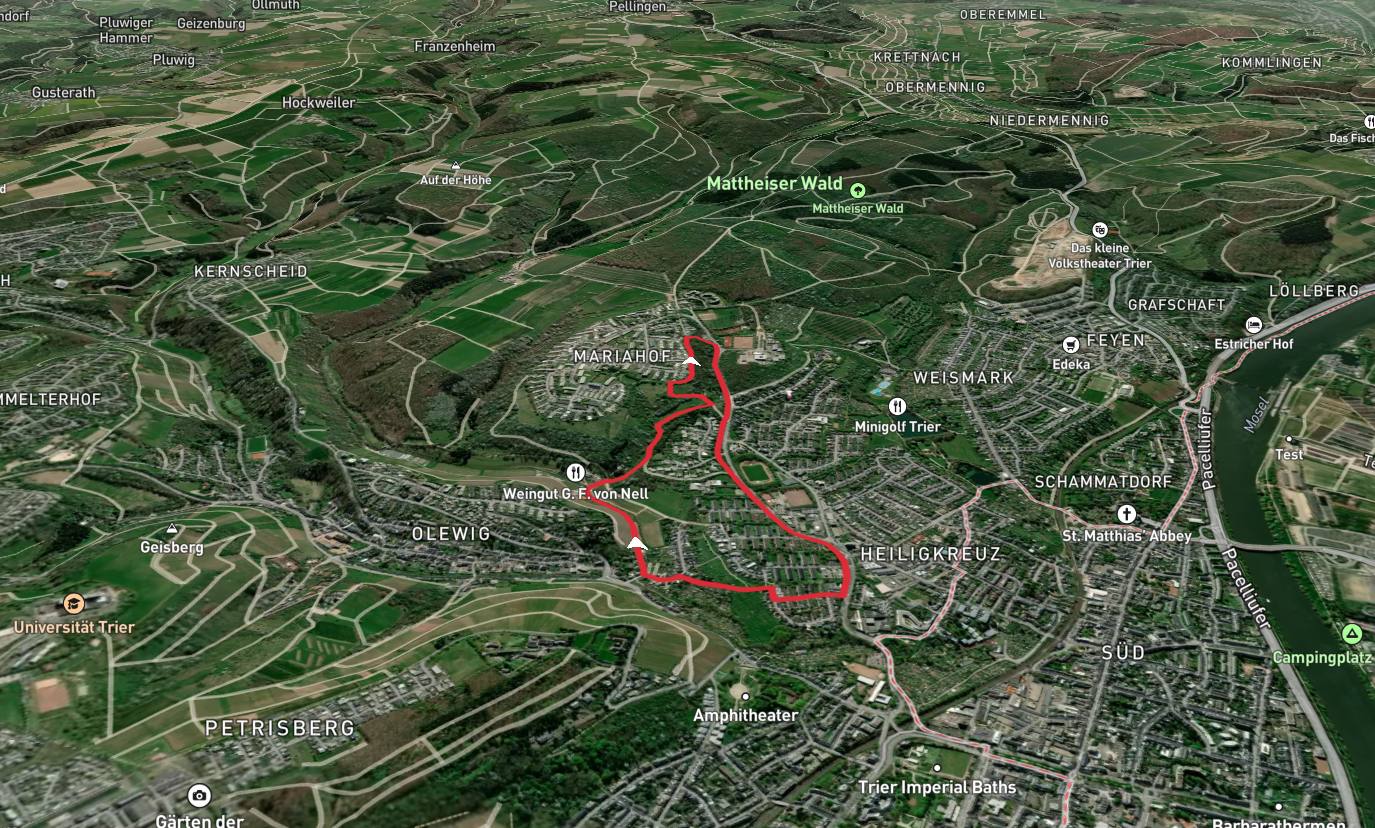 Reiher-Weiher and Tiergartenbach Loop