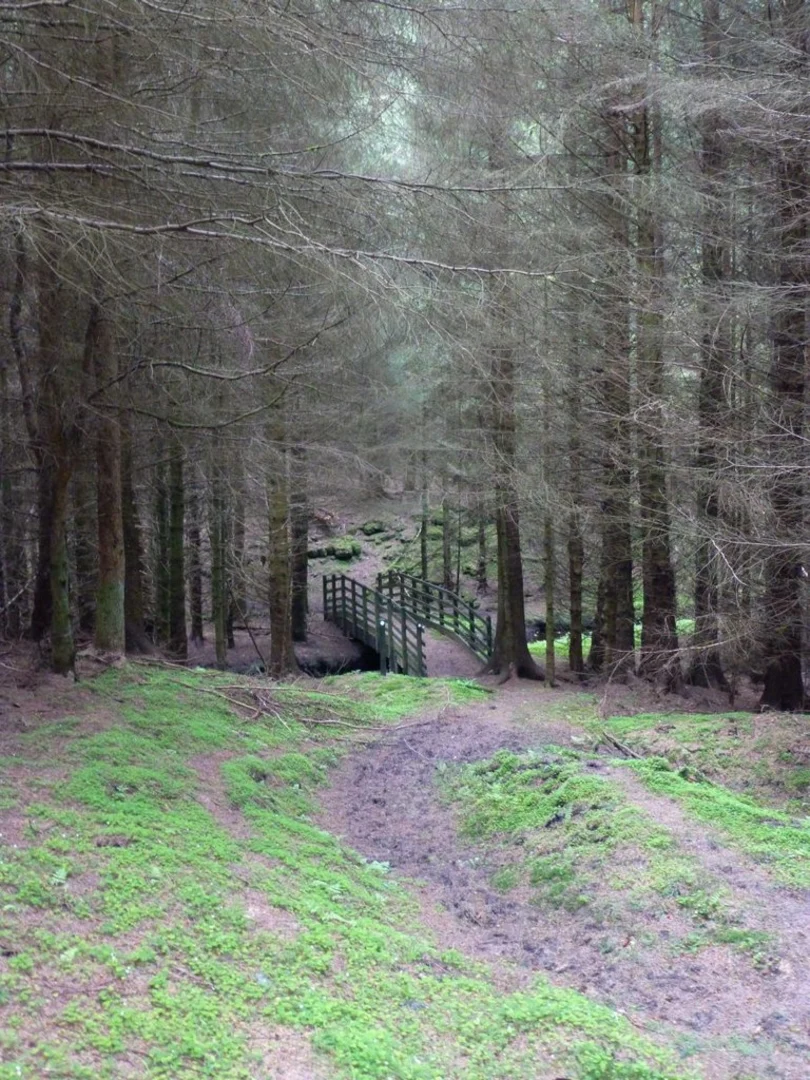 An image depicting the trail Rothbury to Kirkwhelpington Walk and its surrounding area.