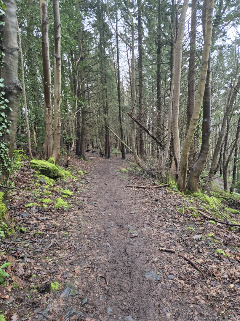An image depicting the trail Hampton arm towards world's end down to llangollen and across llangollen Canal Loop and its surrounding area.