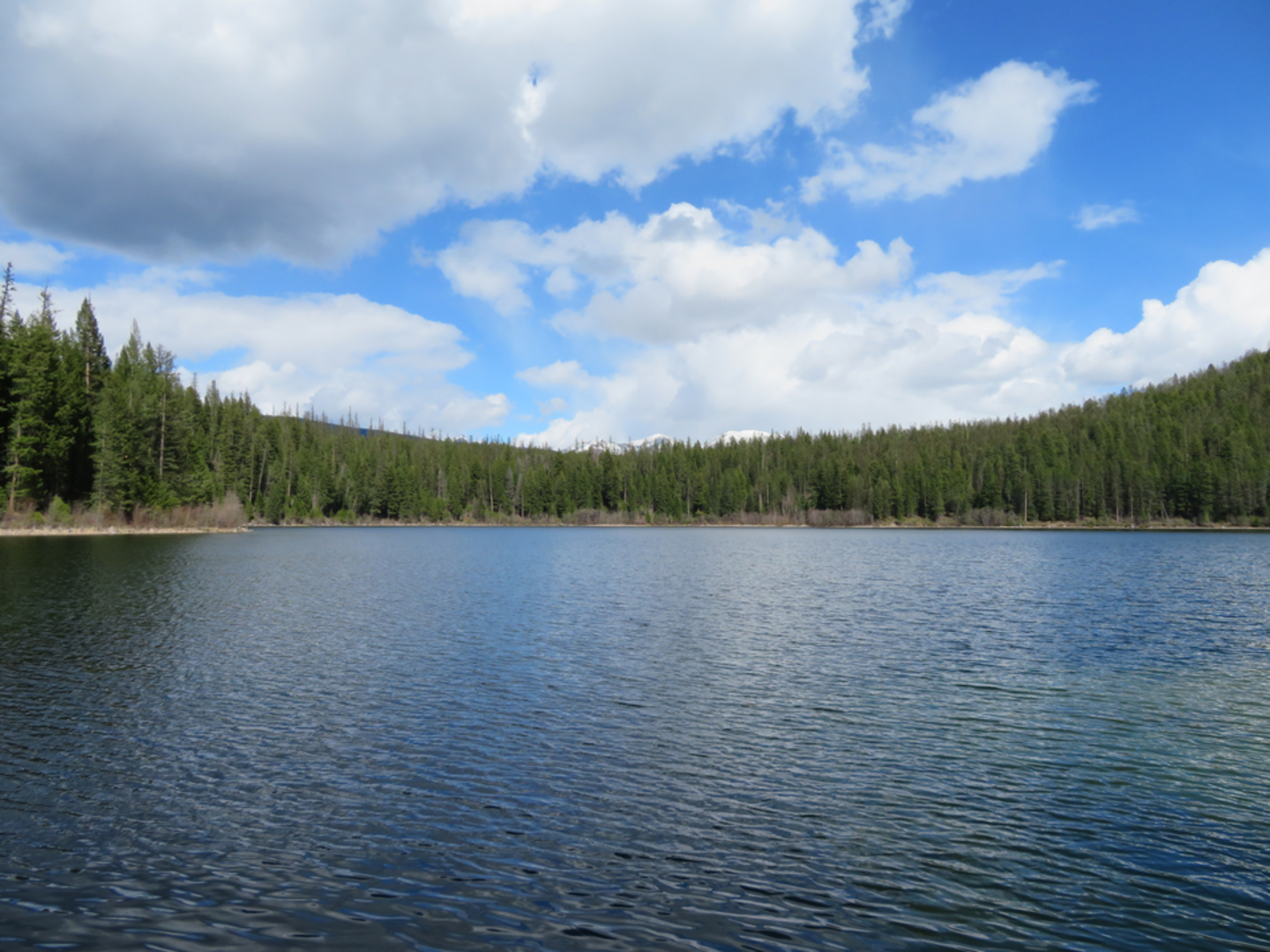 An image depicting the trail Dam Loop Trail and its surrounding area.