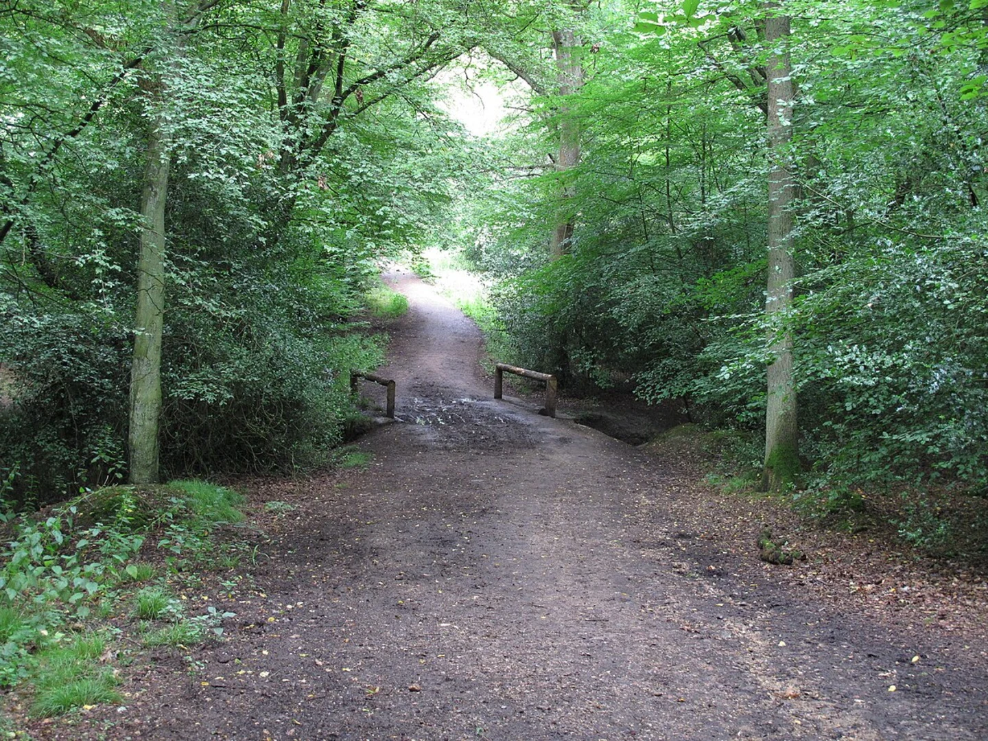 An image depicting the trail Epping Forest - Ambresbury Banks Loop and its surrounding area.