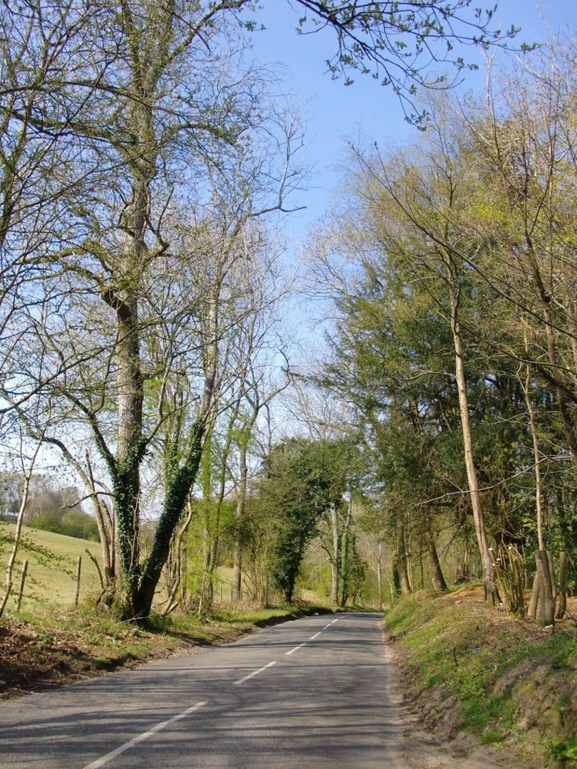 An image depicting the trail Sheep Walk, Kiln Field Coppice and Coles Copse Loop and its surrounding area.