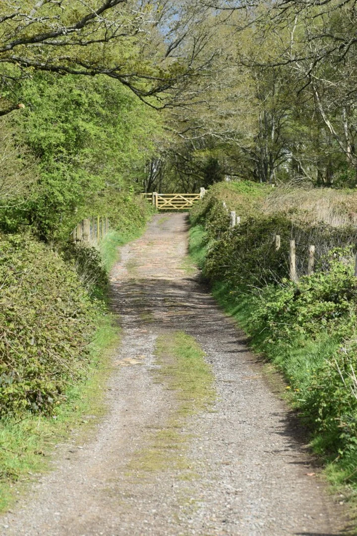 An image depicting the trail Abinger Roughs Nature Trail and North Downs Way and its surrounding area.