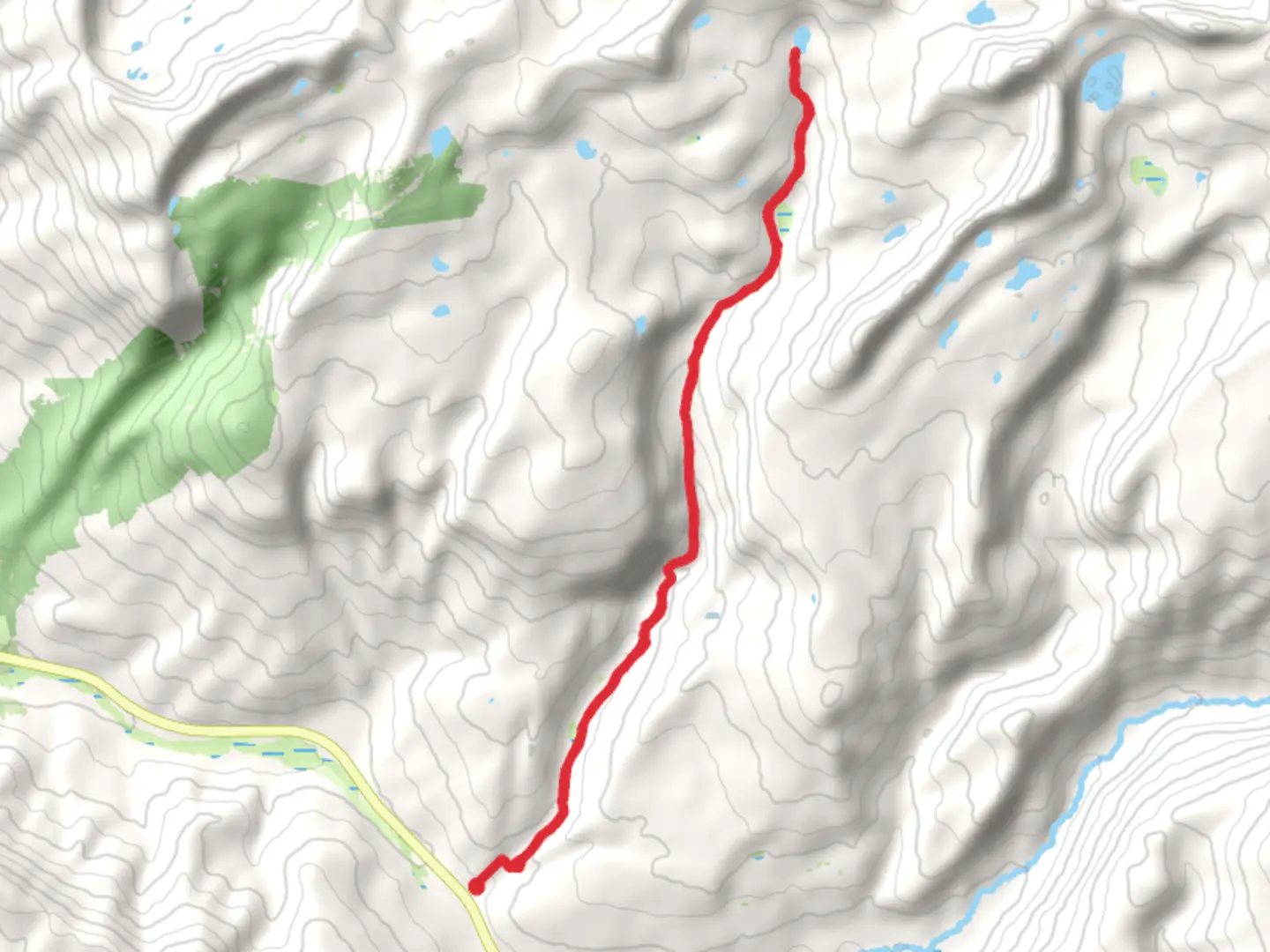 An image depicting the trail East Shingle Creek Lake via Shingle Creek Trail and its surrounding area.
