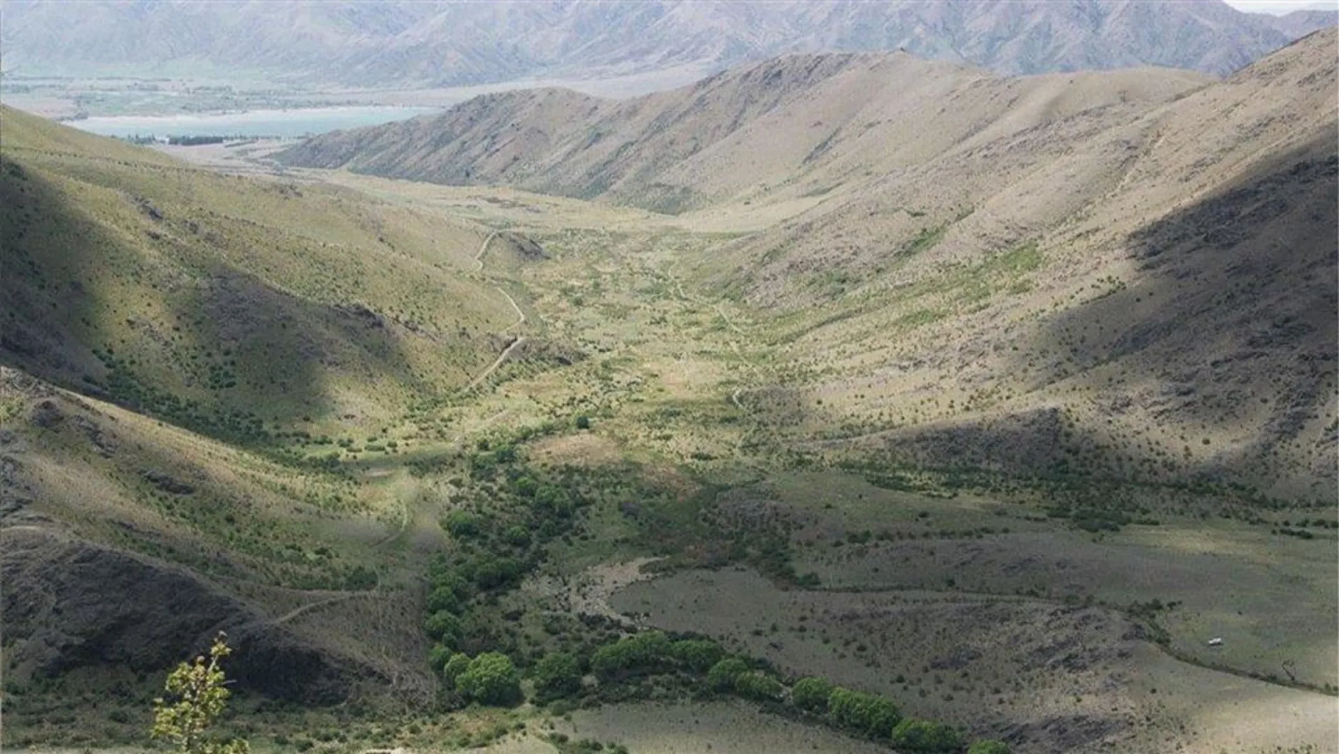 An image depicting the trail Otamatakou Track and its surrounding area.