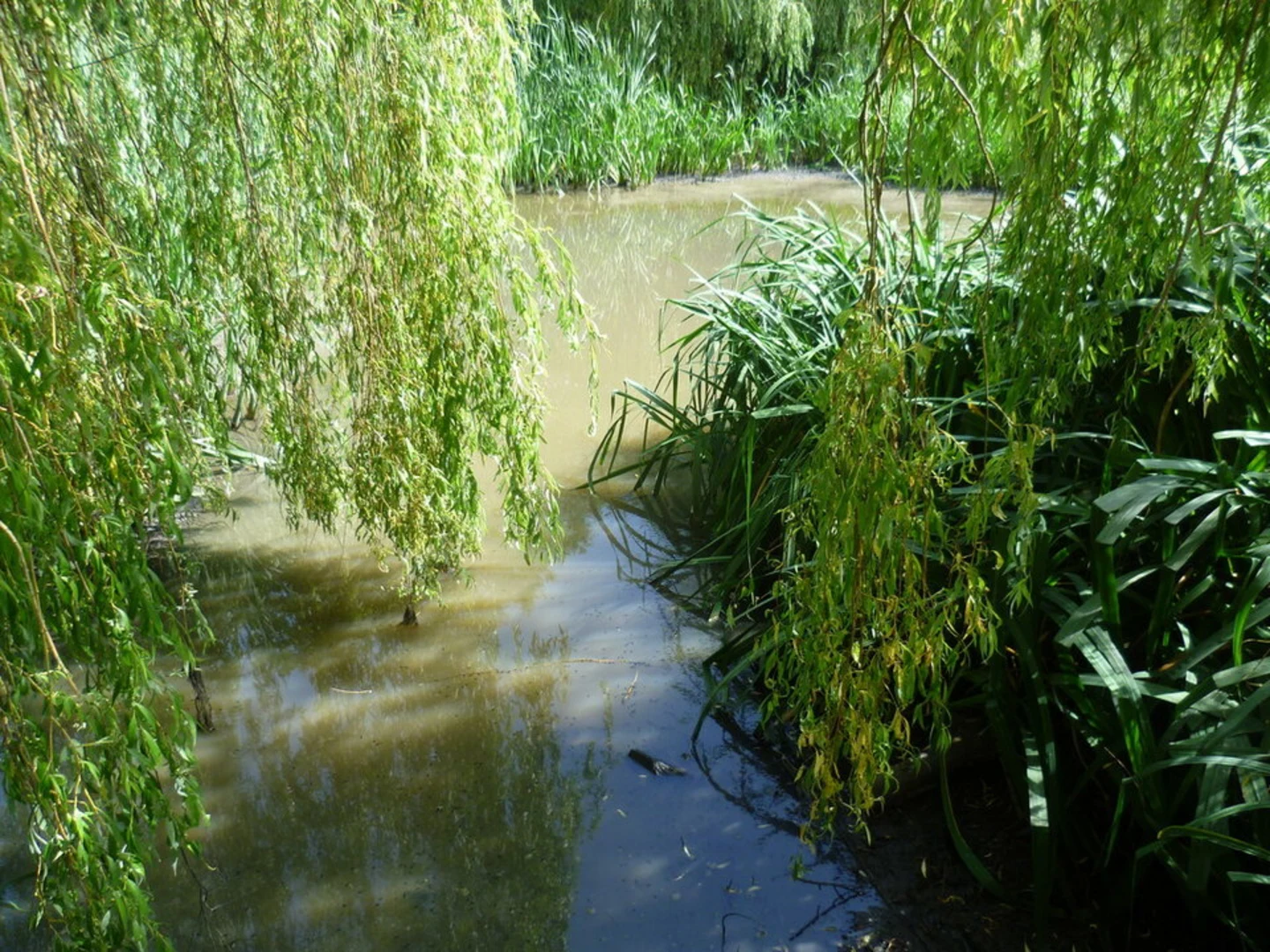 An image depicting the trail Nonsuch Park Loop and its surrounding area.