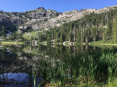 An image depicting the trail Tangle Blue Lake Trail and its surrounding area.