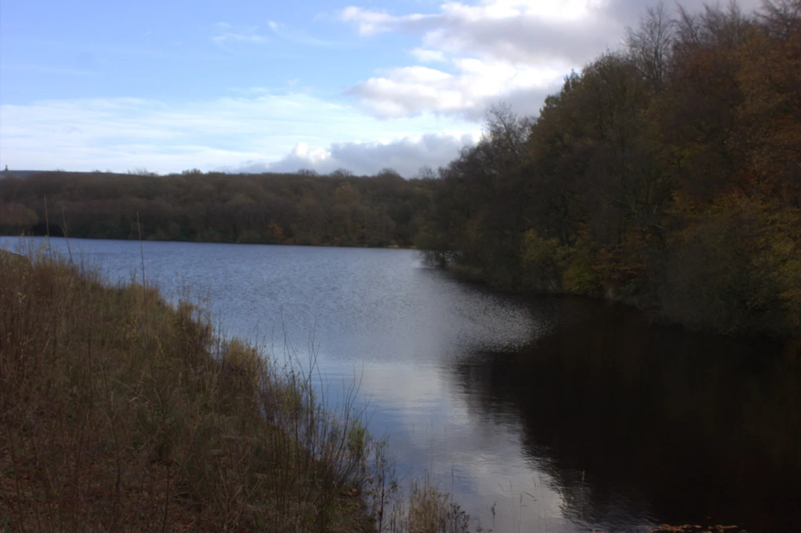 An image depicting the trail Rake Brook Reservoir, Lower Roddlesworth Reservoir and Earnsdale Reservoir Circle and its surrounding area.