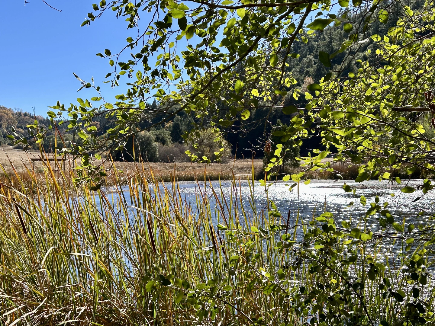 An image depicting the trail Doane Pond and Doane Valley Nature Loop and its surrounding area.