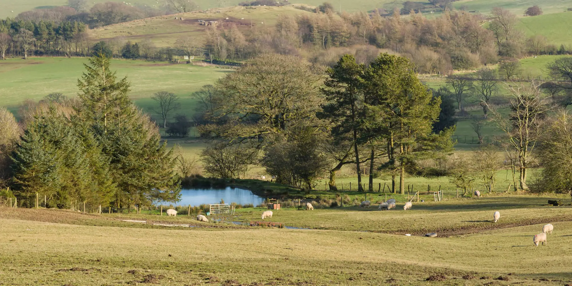 An image depicting the trail Stiperstones and Green Hill and its surrounding area.