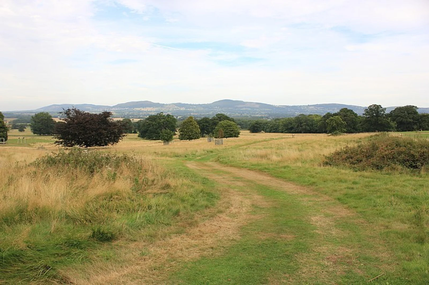 An image depicting the trail Bodelwyddan Castle Loop and its surrounding area.