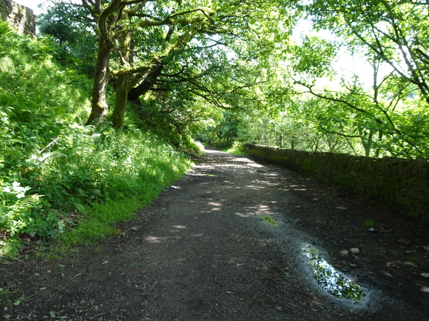 An image depicting the trail Brinscall to Tockholes Walk and its surrounding area.