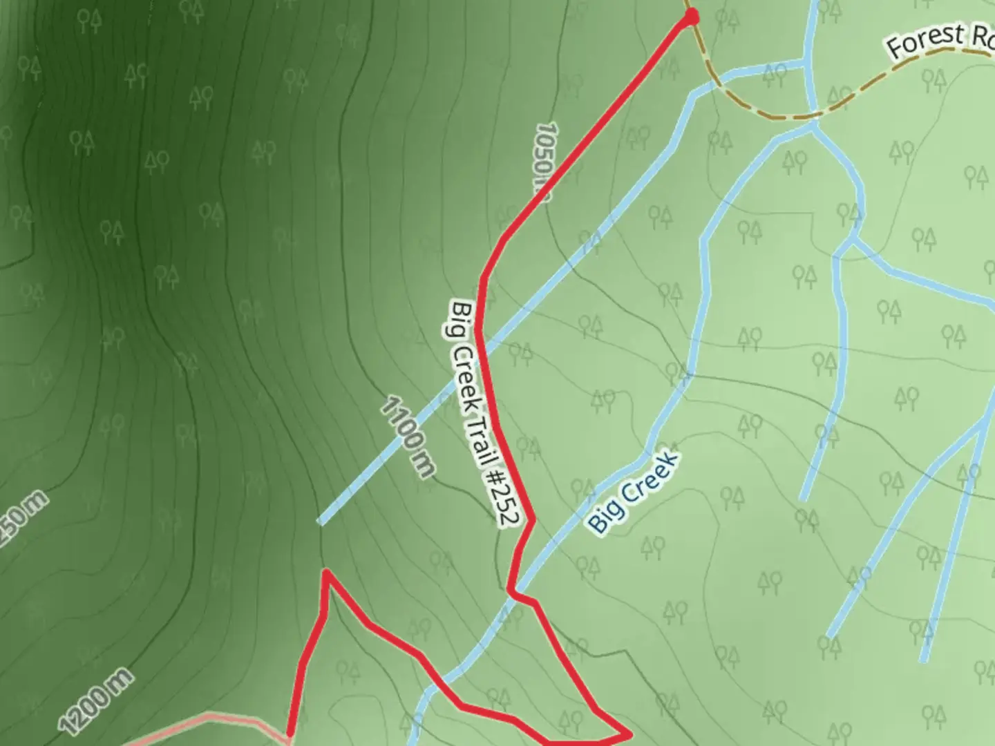 An image depicting the trail Big Creek Trail to Cora Lake and its surrounding area.