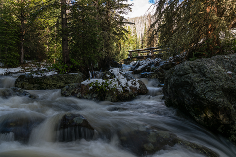 An image depicting the trail Onahu - Tonohutu Connector via Onahu Creek Trail and its surrounding area.