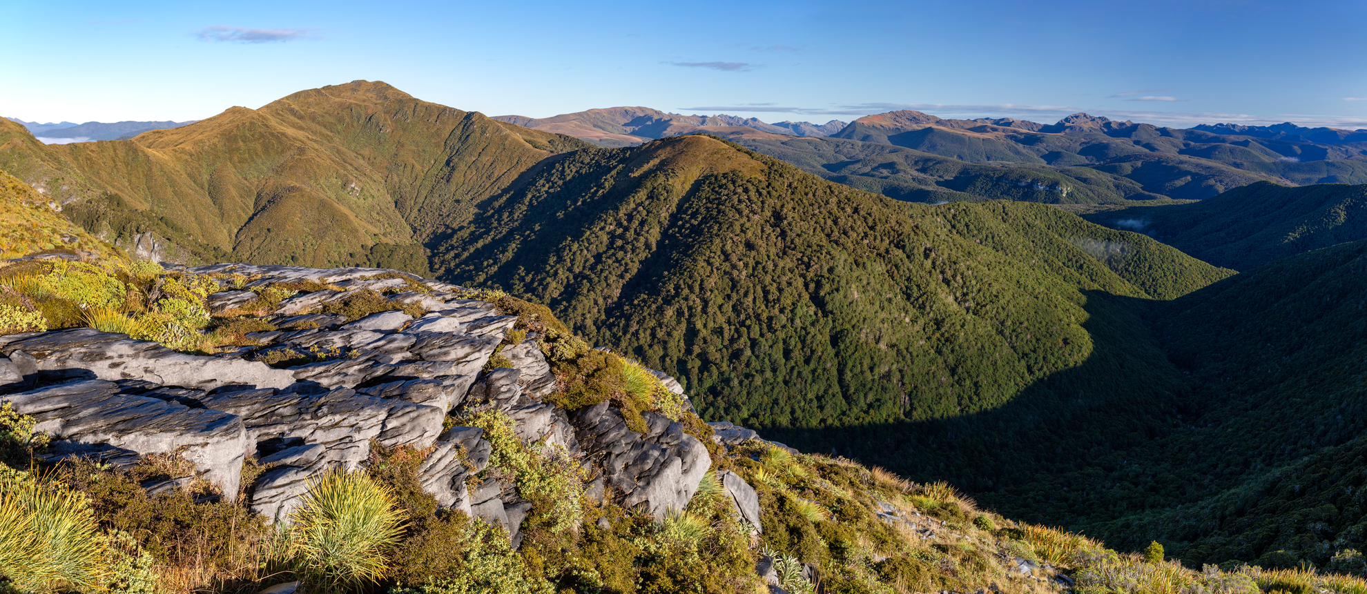 An image depicting the trail Cloustons Mine Track and its surrounding area.