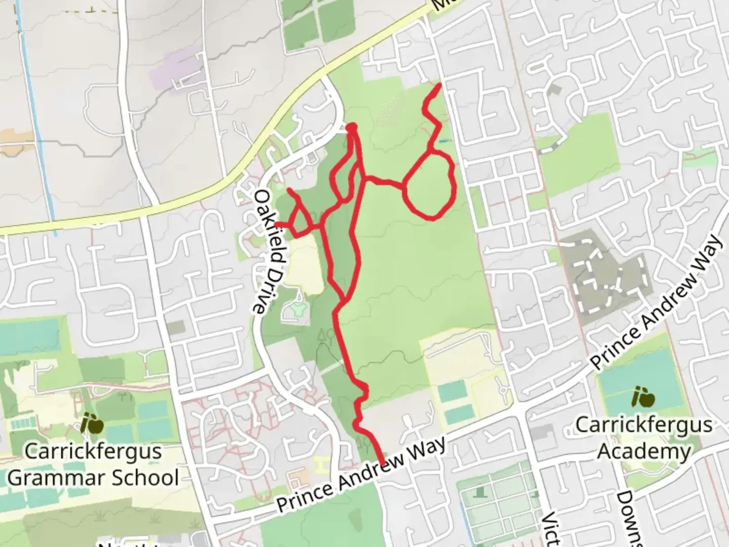 An image depicting the trail Oakfield Glen and Bashfordsland Wood and its surrounding area.