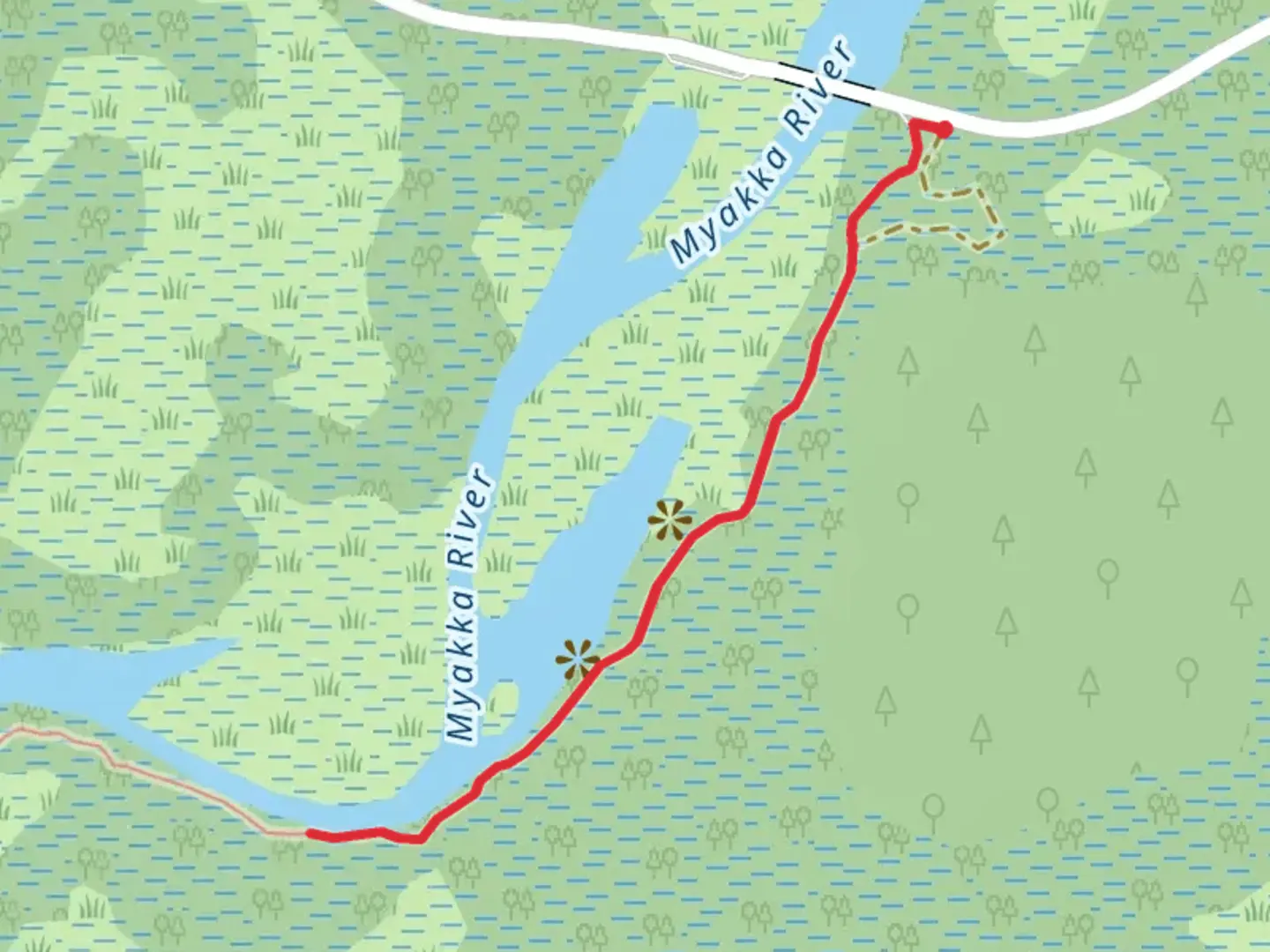 An image depicting the trail Myakka River Walk and its surrounding area.