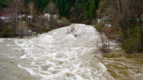 An image depicting the trail Downie River Trail and its surrounding area.